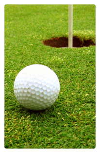 DF35T 342 Gone Golfing (Balls)